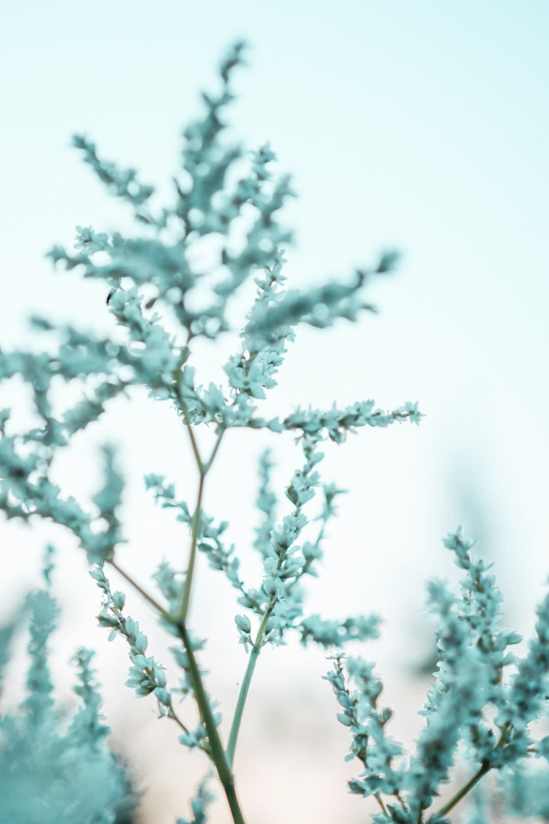 新春走底层丨厦门：万盏花灯点亮千年古城